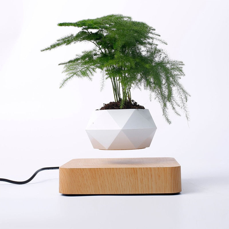 Gran oferta, maceta de bonsái de aire levitante, macetas de rotación, suspensión de levitación magnética, maceta flotante para flores, decoración de escritorio para plantas en maceta